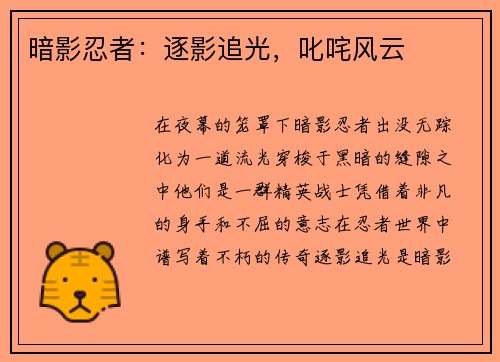 暗影忍者：逐影追光，叱咤风云